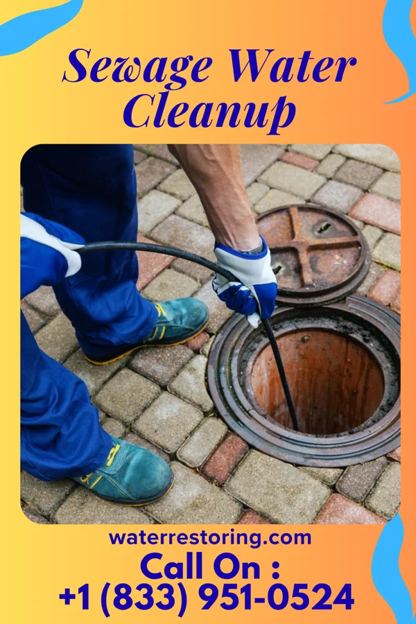 Sewage Water Cleanup in Foxfire, NC